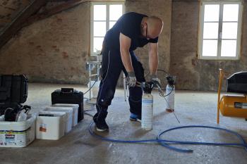 Kugelkäfer bekämpfen