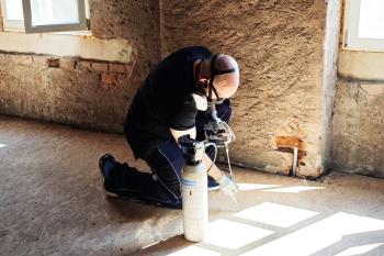 Kugelkäfer bekämpfen