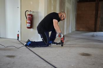 Kugelkäfer bekämpfen