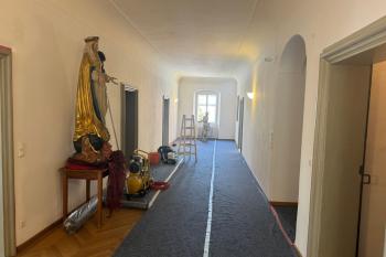 Kugelkäfer bekämpfen im Flur