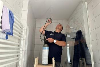 Kugelkäfer bekämpfen im Badezimmer