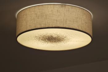 Kugelkäfer in Deckenleuchte